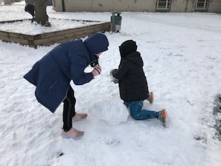 IMG 1130