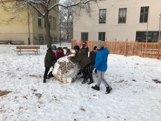 IMG 1134